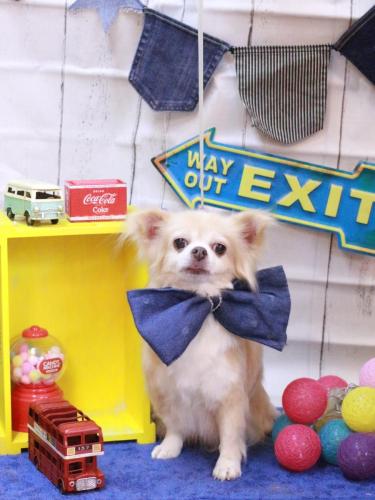 20230402チャッピーちゃん